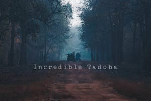 Tadoba The Monsoon Adventure