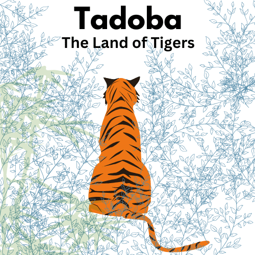 Tadoba
