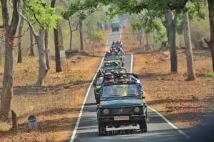 Tadoba Safari Timings